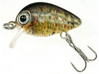 Wobler JAXON Atract Pixel 2.5cm F