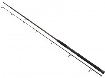 W�dka DAIWA Exceler CatFish Spin 270/185g