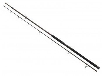 W�dka DAIWA Exceler CatFish Boje 300/200-600g
