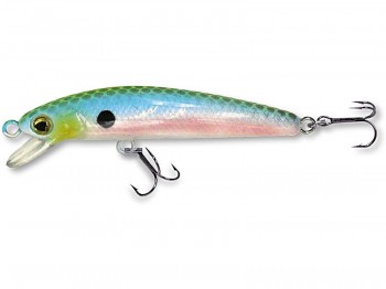 Wobler ROBINSON Rickie F50 5.0cm/2.5g GR-CL