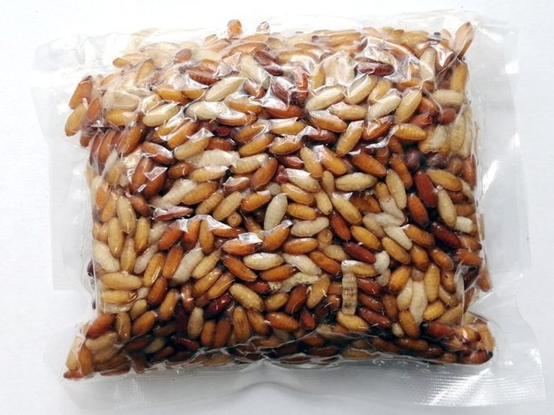 Przyn�ta Naturalna FUX KASTER 250ml