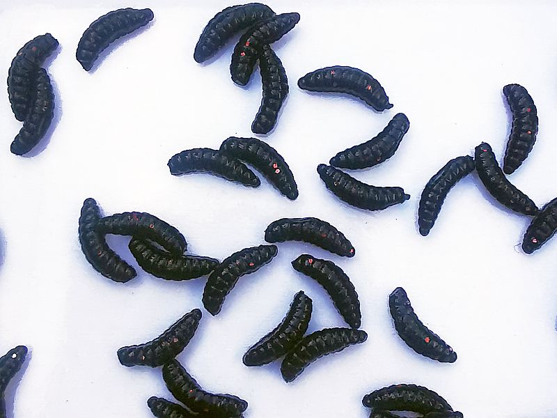 Przyn�ta Sztuczna WATER KING Dzikun 1cm Kolor 24