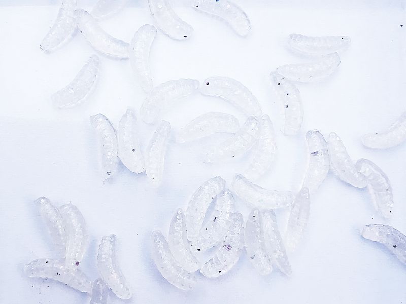 Przyn�ta Sztuczna WATER KING Dzikun 1cm Kolor 16